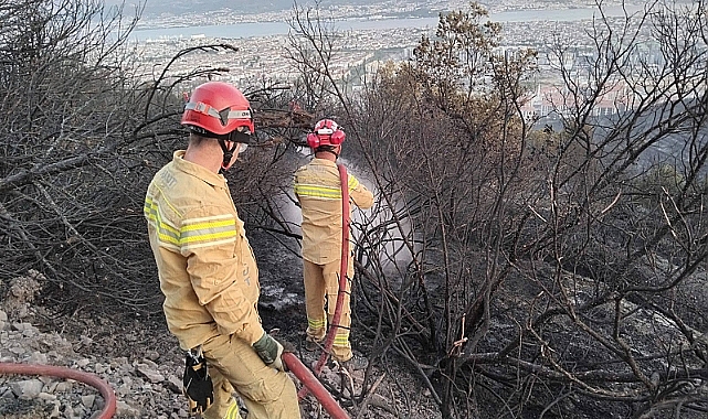 Türkiye'de Yangınların %57'si Orman Dışı Alanlarda Başladı