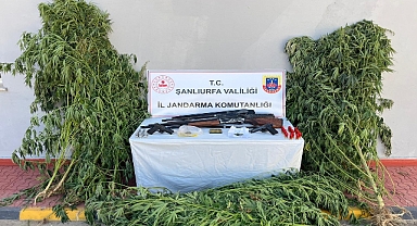 Urfa'da Dev Operasyon: 6 Şüpheli Hakkında Adli İşlem Başlatıldı