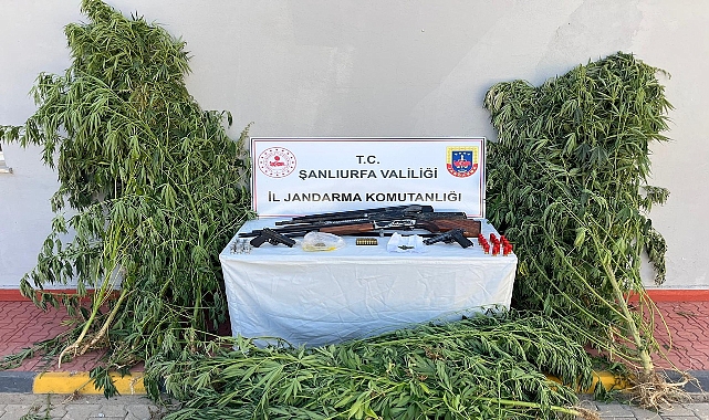 Urfa'da Dev Operasyon: 6 Şüpheli Hakkında Adli İşlem Başlatıldı