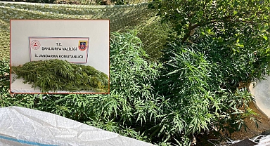 Urfa’da Jandarmadan İki İlçede Narkotik Baskını! 2 Gözaltı 