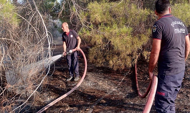 Urfa’da Orman Yangını Korkuttu!