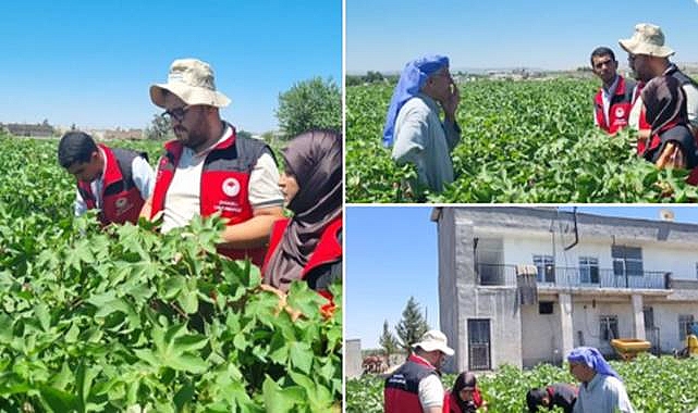 Urfa’da Tarım Ekiplerinden Çiftçilere Hastalık ve Zararlı Uyarısı