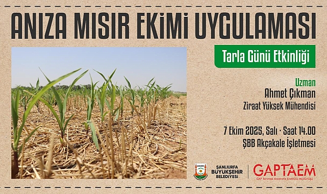 Anıza Mısır Ekimi Uygulaması Şanlıurfa’da Tarla Gününde Tanıtılacak