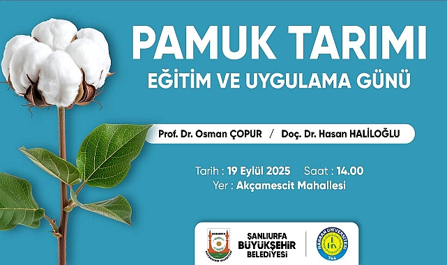 Büyükşehir’den Pamuk Çiftçilerine Eğitim Ve Uygulama Günü