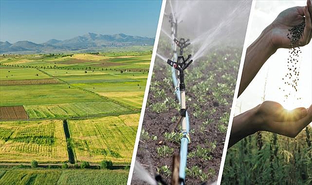 Çiftçiye 47 Milyon Liralık Destek Ödemesi Hesaplara Aktarılıyor!