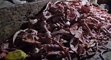 Gıda Denetiminde Skandal Görüntü: 1,5 Ton Uygunsuz Et Ele Geçirildi