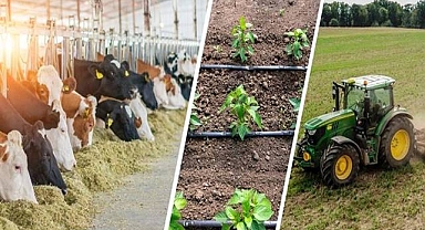 Hayvancılıkla İlgili Destekleme Miktarlarında Artışa Gidildi