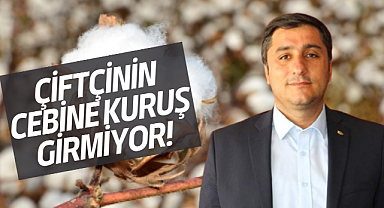 Pamuk Alım Fiyatları Tepki Çekti: Çiftçinin Cebine Kuruş Girmiyor