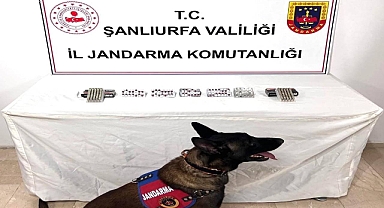 Şanlıurfa’da 60 Sentetik Hap ve 100 Fişek Ele Geçirildi