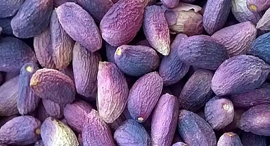 Şanlıurfa'da Fıstık Fiyatları Güncellendi: 800 TL’ye Dayandı