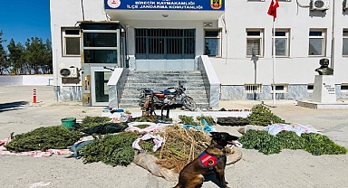 Şanlıurfa'da Jandarmadan Uyuşturucu ve Silah Operasyonu: 3 Gözaltı