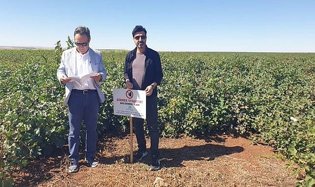 Şanlıurfa’da Pamukta Kalıntı Denetimi Gerçekleştirildi