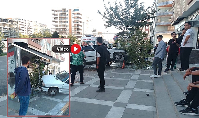 Şanlıurfa'da Trafik Kazası: Kontrolden Çıkan Araç Ağaca Çarparak Durabildi