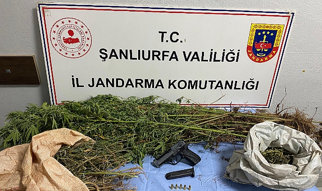 Şanlıurfa’da Uyuşturucu Operasyonu: 8 Şüpheli Gözaltında