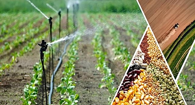 Tarımsal Destekleme Ödemesi Hesaplara Aktarılıyor