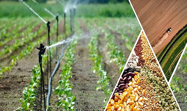 Tarımsal Destekleme Ödemesi Hesaplara Aktarılıyor