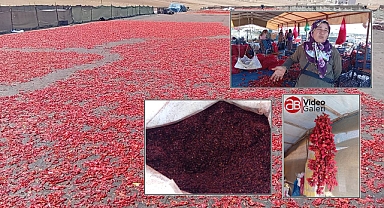 Urfa'da Kadın Emeğiyle Üretilen İsot Yarı Fiyatına Satışta