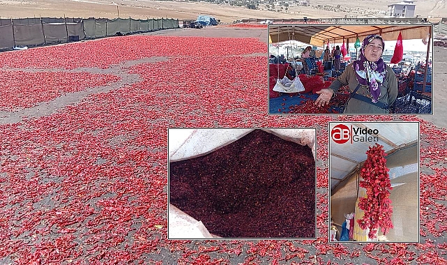 Urfa'da Kadın Emeğiyle Üretilen İsot Yarı Fiyatına Satışta