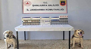 Viranşehir’de Kaçak Sigara Operasyonu: 1030 Paket Ele Geçirildi