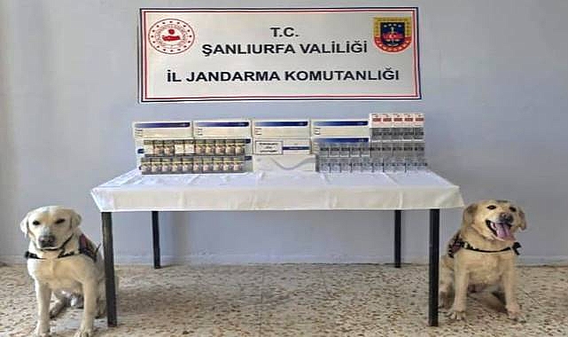 Viranşehir’de Kaçak Sigara Operasyonu: 1030 Paket Ele Geçirildi