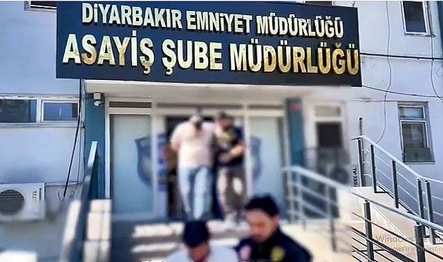 971 Vatandaş Dolandırıldı: 41 İlde Dev Operasyon — 206 Tutuklama