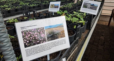 Büyükşehir Belediyesi’nden Kurakçıl Peyzaj Projesine Destek