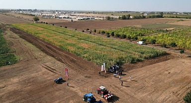 Büyükşehir'den Örnek Sürdürülebilir Tarım Hamlesi