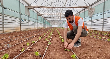 Büyükşehir, Serasında Kışlık Sebze Dikimi Gerçekleştirildi