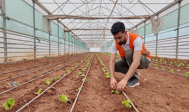 Büyükşehir, Serasında Kışlık Sebze Dikimi Gerçekleştirildi
