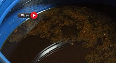 Denetimde Ortaya Çıktı: Skandal Gıda Ürünleri!