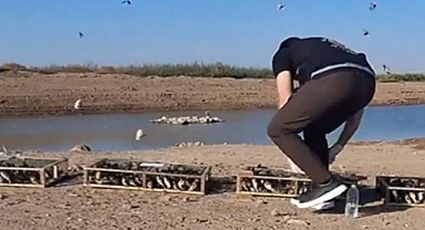 Doğa Kaçakçılarına Ağır Ceza: 6,25 Milyon TL