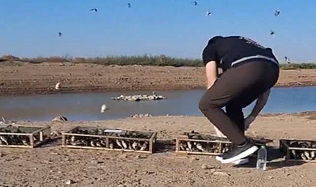 Doğa Kaçakçılarına Ağır Ceza: 6,25 Milyon TL