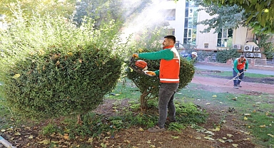 Haliliye’de Yeşil Dönüşüm: Parklar Yenileniyor, İlçe Güzelleşiyor