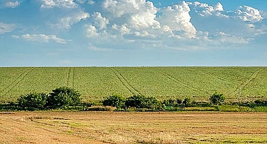 Hilvan İlçesinde 41 Dönümlük Tarım Arazisi İcradan Satışa Çıkıyor