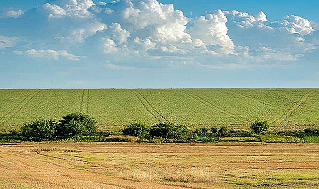 Hilvan İlçesinde 41 Dönümlük Tarım Arazisi İcradan Satışa Çıkıyor