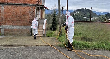 Kahverengi Kokarca Zararlısına Karşı 1 Milyondan Fazla Hane İlaçlandı