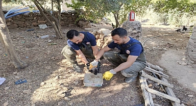 Karaköprü'de Foseptik Çukuruna Düşen Boncuk Kurtarıldı
