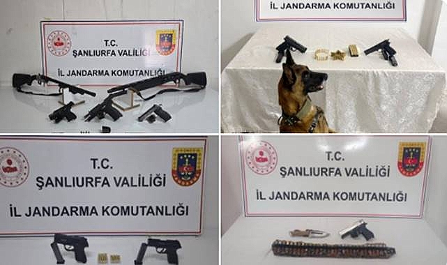 Şanlıurfa’da Jandarmadan Silah Kaçakçılığına Darbe: 8 Gözaltı