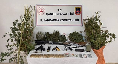 Şanlıurfa'da Jandarmadan Uyuşturucu ve Silah Operasyonu: 3 Gözaltı