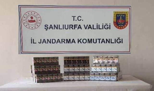 Şanlıurfa’da Kaçakçılık Operasyonu! 910 Paket Ele Geçirildi 