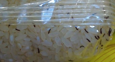 Şanlıurfa’da Kurtlanmış Pirinç ve Bozulmuş Peynir Ele Geçirildi