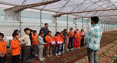 Şanlıurfa’da Öğrenciler Doğa Ve Tarımla Buluşuyor