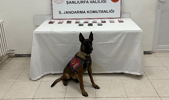 Şanlıurfa’da uyuşturucu operasyonu: Çok sayıda madde ve para ele geçirildi