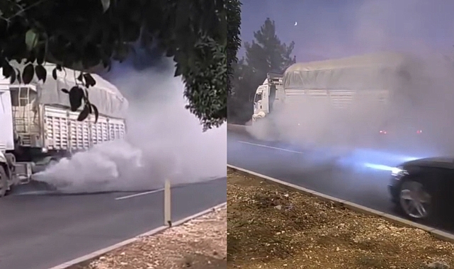 Şanlıurfa-Diyarbakır yolunda arızalanan tır trafiği tehlikeye soktu