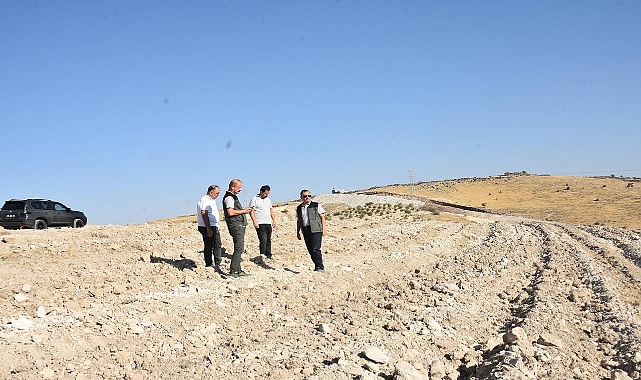 Şanlıurfa'ya 63 Bin Fidan: Yeni Ormanlık Alanlar Geliyor