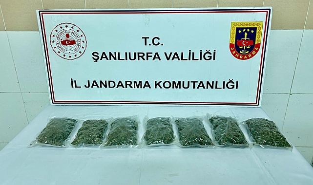 Siverek’te jandarmadan uyuşturucu operasyonu: 2 kilo kubar esrar ele geçirildi