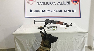 Suruç’ta Uyuşturucu Operasyonu: Çok Sayıda Madde ve Silah Ele Geçirildi