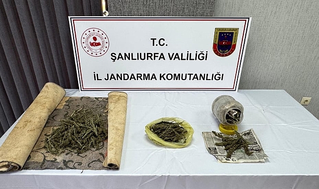 Viranşehir’de jandarmadan uyuşturucu operasyonu: Çok sayıda madde ele geçirildi