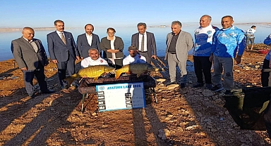 Bozova’da “ATATURK LAKE 2025 Sazan Avcılığı Yarışması” Başladı