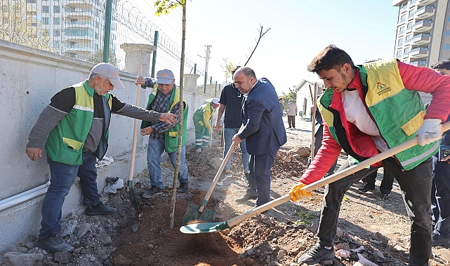 Karaköprü’de Ağaçlandırma Sezonu Başladı